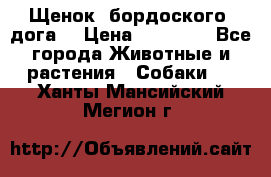 Щенок  бордоского  дога. › Цена ­ 60 000 - Все города Животные и растения » Собаки   . Ханты-Мансийский,Мегион г.